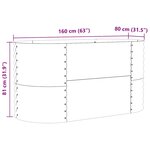 vidaXL Jardinière Élevée Verte 160x80x81 cm Acier Galvanisé