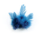 Sachet 3 Gr Plumes De Coq Turquoise Ht.100