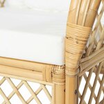 vidaXL Canapé avec coussin Rotin naturel et lin