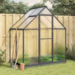vidaXL Serre avec cadre de base anthracite 169x114x202 cm aluminium