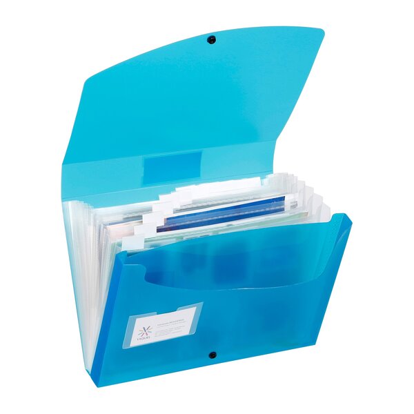 Trieur à soufflet plastique viquel 13 compartiments couleurs assorties - lot de 4