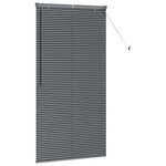 vidaXL Store de Fenêtre avec des rideaux Manuel Gris foncé Aluminium