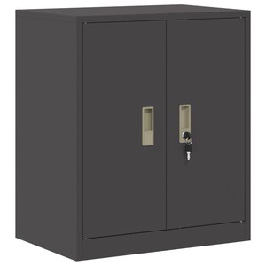 vidaXL Armoire de rangement Noir 60 x 40 x 70 cm Acier