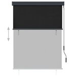 vidaXL Store roulant d'extérieur 120 x 250 cm Anthracite