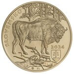 Pièce de monnaie 5 euro Slovaquie 2024 – Bison européen