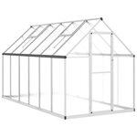 vidaXL Serre avec cadre de base argenté 334x169x195 cm aluminium