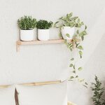 Etagère murale vidaXL 62x10x12 5 cm en bois massif noyer