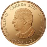 Pièce de monnaie en Argent 20 Dollars g 31.39 Millésime 2025 GILDED SUNDIAL