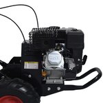 vidaXL Cultivateur à essence 6 5 ch 196 cc