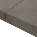 vidaXL Canapé-lit pliable 140 x 67 x 45 cm Gris clair