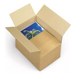 Carton d'emballage 25 x 15 x 14 cm - Simple cannelure