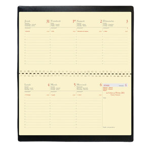 Recharge (Sans Couverture) Agenda Planital FR 8 8 x 17 cm Quovadis