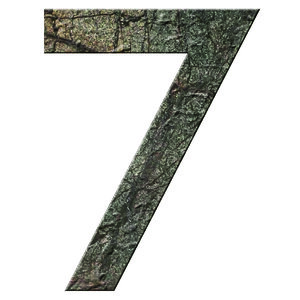 Numéro 7 - Numéro adhésif pour boîtes aux lettres- Pierre véritable 50 mm  ORIGINES