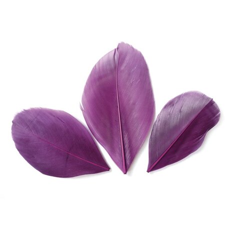 50 plumes coupées - Violet 6 cm