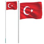 vidaXL Drapeau de la Turquie et mât 6 23 m Aluminium