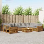 vidaXL Ensemble de canapés d'extérieur 10 Pièces Gris Naturel et Clair