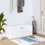 vidaXL Armoire à chaussure murale Blanc brillant 100x35x38 cm