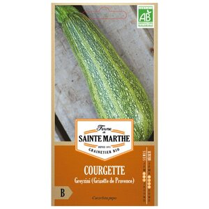 Courgette Greyzini (Grisette de Provence) bio - Graines à semer