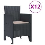 vidaXL Ensemble de salle à manger pour jardin 13 Pièces Anthracite