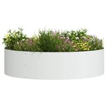 vidaXL Anneau de jardinière Blanc 80 x 80 x 20 cm Acier laminé à froid