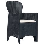 vidaXL Chaises de jardin 2 Pièces avec coussin Anthracite Plastique