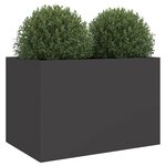 vidaXL Jardinière noir 62x40x39 cm acier laminé à froid
