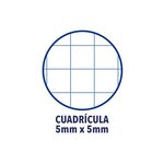 Carnet OPENFLEX 9x14cm Piqûre 96 pages 90g petits carreaux Coloris aléatoire OXFORD