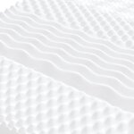 vidaXL Matelas en mousse 2 Pièces blanc 100x200 cm 7 zones dureté 20 ILD