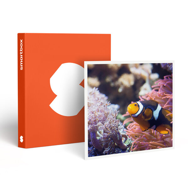 SMARTBOX - Coffret Cadeau Visite de l’Aquarium Sea Life de Val d’Europe - Sport & Aventure
