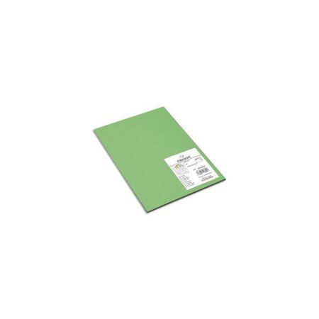 Paquet de 15 feuilles papier dessin 21x29,7 CANIRIS VIVALDI 185g. Coloris vert franc CANSON