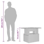 vidaXL Table de jardin dessus en verre gris clair 100x55x73 cm rotin
