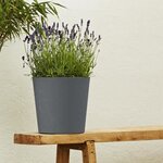 PoeTIC Pot Elément Conique 25 - Ardoise