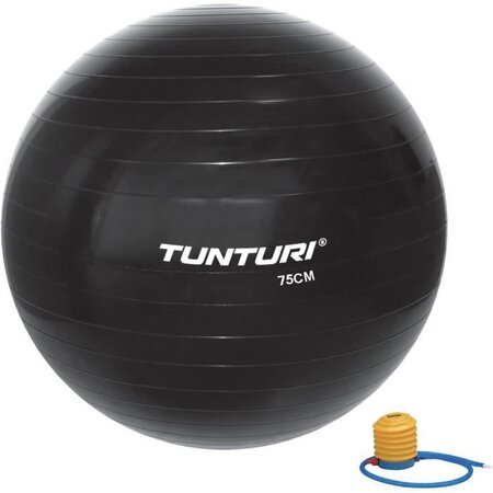 TUNTURI Gym ball ballon de gym 75cm noir