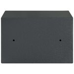 vidaXL Coffre-fort Gris foncé RAL7016 20 x 31 x 20 cm Acier