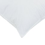 vidaXL Oreillers 2 Pièces Blanc 50 x 50 cm 130gsm 100  coton