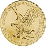 Pièce de monnaie en Argent 1 Dollar g 31.1 (1 oz) Millésime 2024 RAINBOW LIBERTY