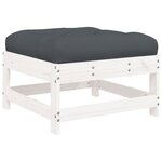 vidaXL Salon de jardin 10 Pièces avec coussins blanc bois massif