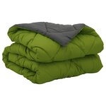 vidaXL Duvet d'été simple Vert et Anthracite 200 x 140 cm Microfibre