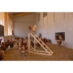 Tour d'escalade pour poules 85 x 55 x 76 cm avec balançoire - Echelle robuste