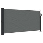 vidaXL Store latéral rétractable Anthracite 100x300 cm