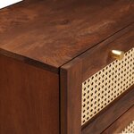 vidaXL Cabinet de salle de bain 2 Pièces Noir et or Bois de mangue massif