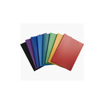 Protège-documents A4 100 pochettes 200 Vues Coloris aléatoires EXACOMPTA