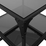 vidaXL Tables basses avec dessus en verre noir 2 Pièces 40x40x45 cm acier