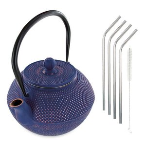 Théière en fonte Song 1 2 L + 4 pailles en inox