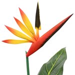 vidaXL Plante Strelitzia artificielle Vert 65 x 13 x 55 cm
