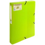 Boite De Classement Exabox Dos 40mm Polypropylène 7/10e Forever® Pp - A4 - Vert Anis - X 8 - Exacompta