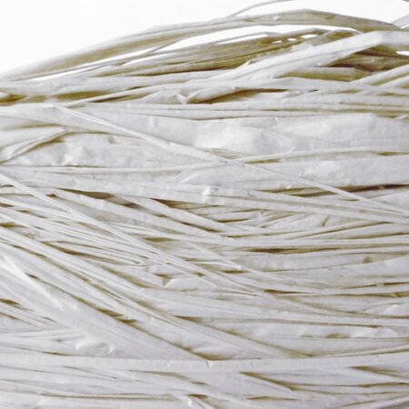 Raphia végétal blanc en bobine 50 g - Graine créative