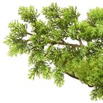 vidaXL Bonsaï de cyprès artificiel avec pot 60 cm Vert