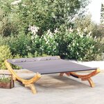 vidaXL Lit de repos extérieur 165x188 5x46 cm Bois courbé Anthracite