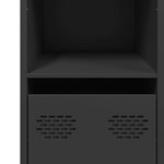 vidaXL Buffet noir 101 5x39x73 5 cm acier laminé à froid